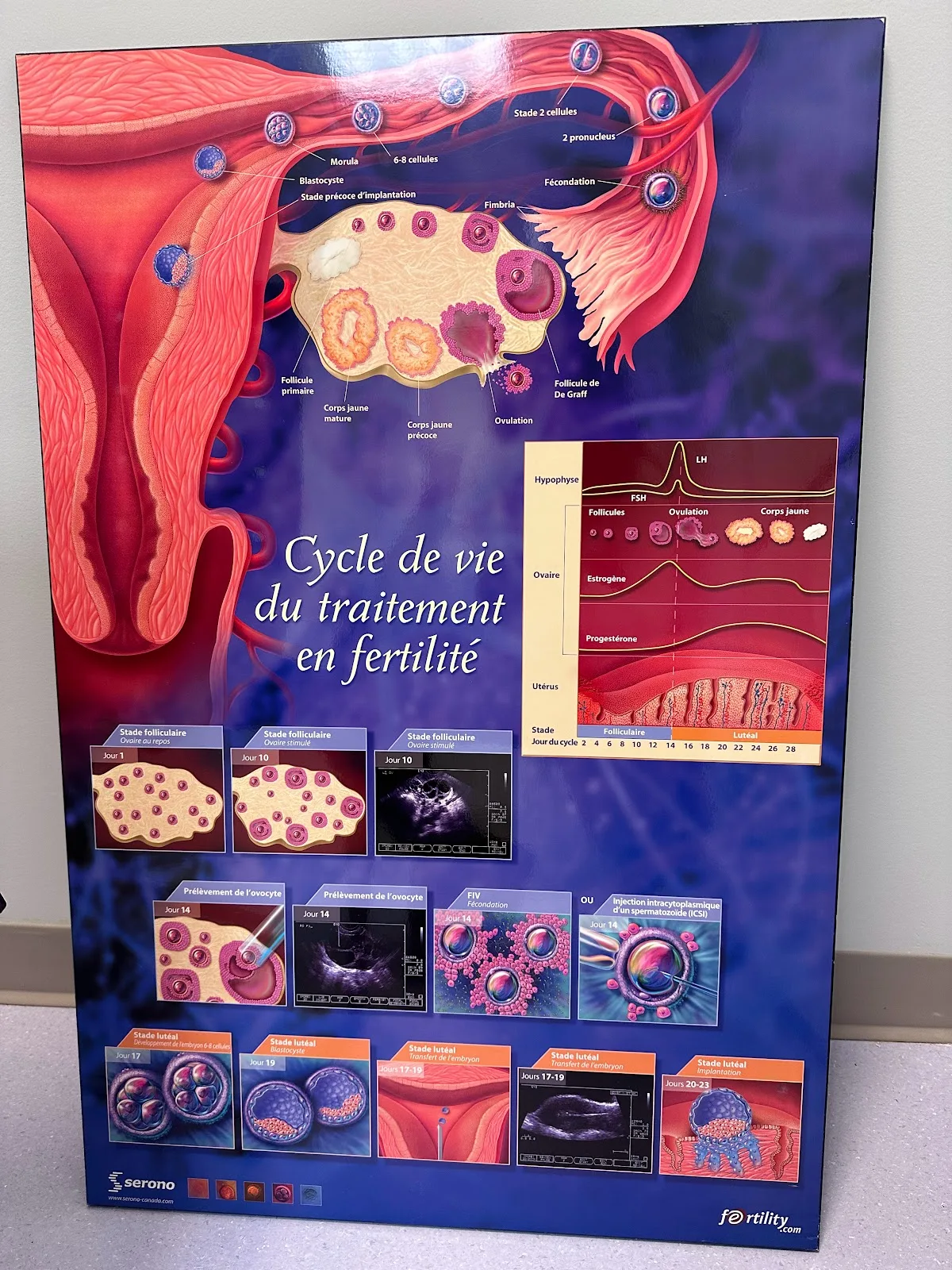 OriginElle Fertility Clinic &amp; Women's Health Centre — photo 4