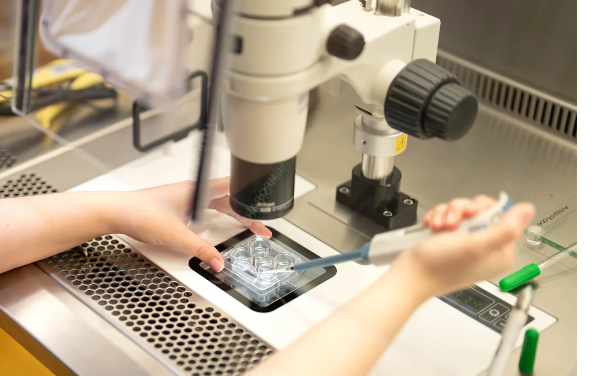 Ovom Care — photo 1