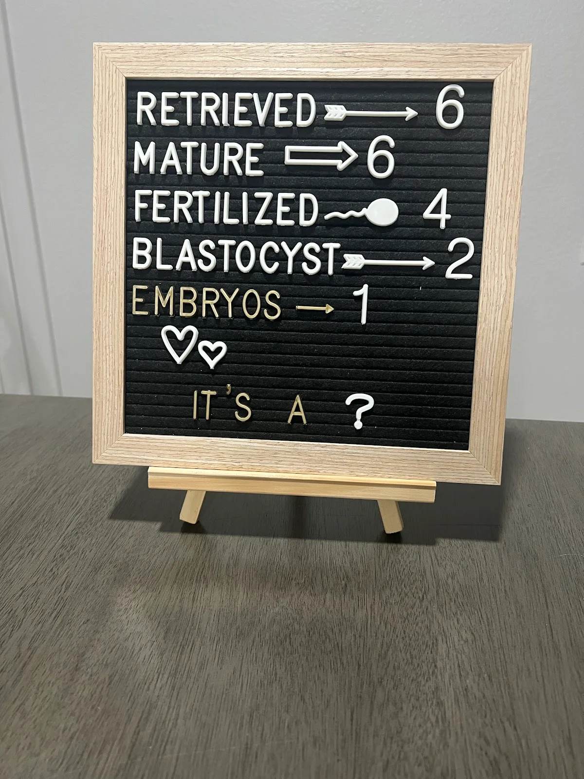 Pearl Mini-IVF — photo 5