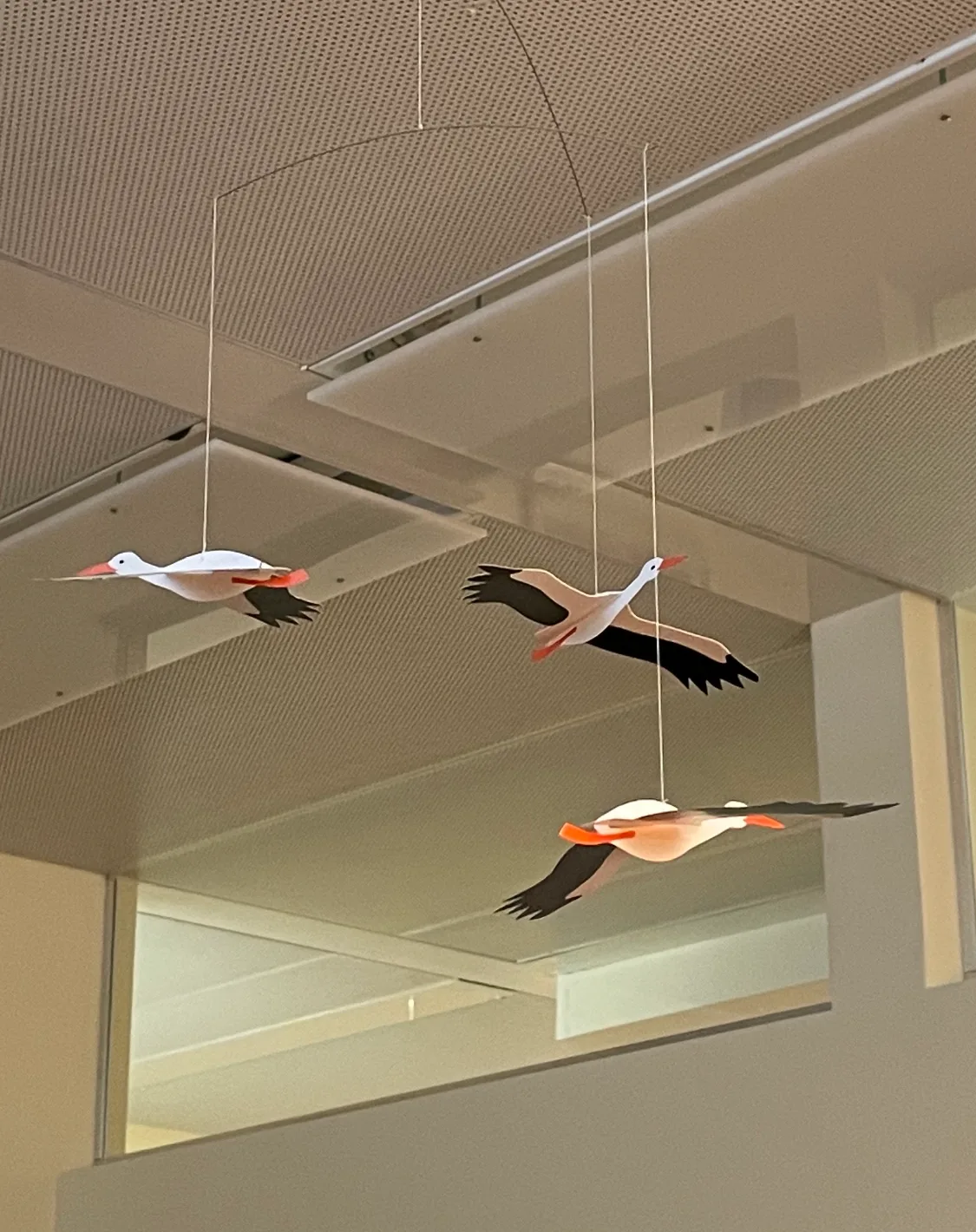 Practice for fertility — photo 3