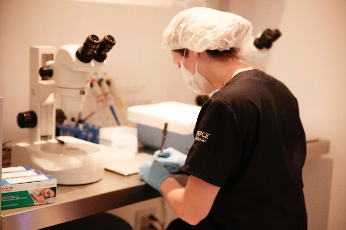 SEMEAR fertilidade — photo 5