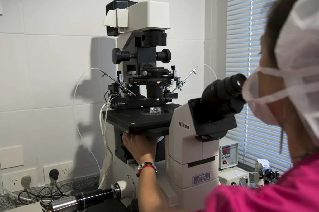 Seremas - Medicina Reproductiva — photo 5