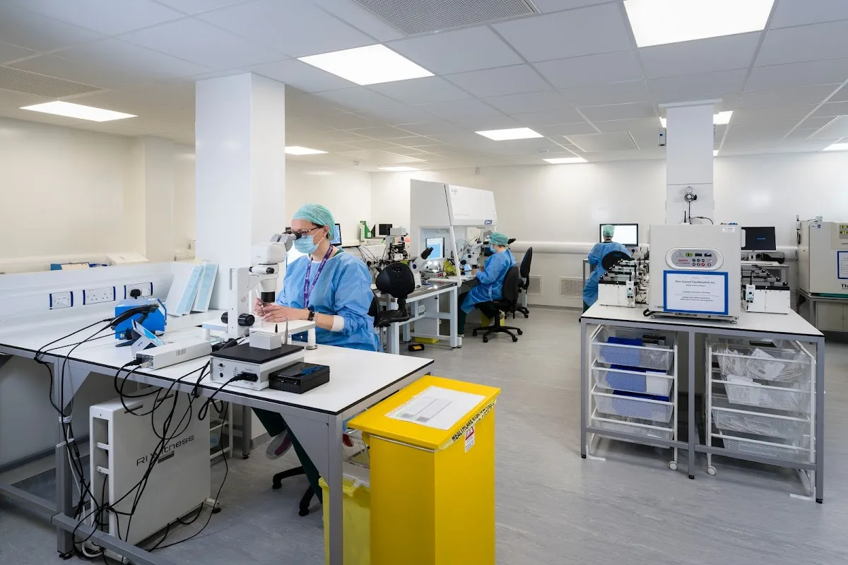 Sims IVF Swords — photo 3