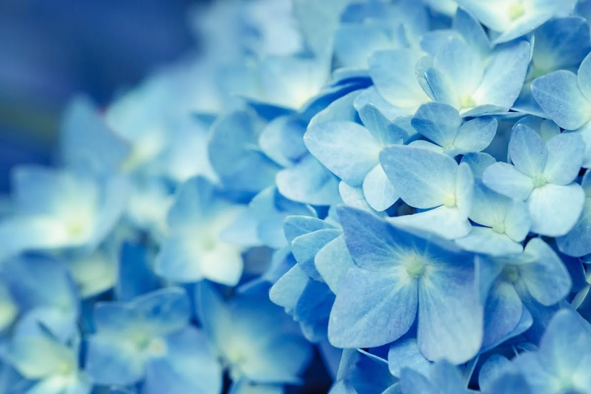 Spring Fertility — photo 1