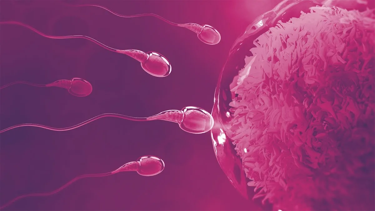 Vis Procreandi - Fertility Center — photo 1