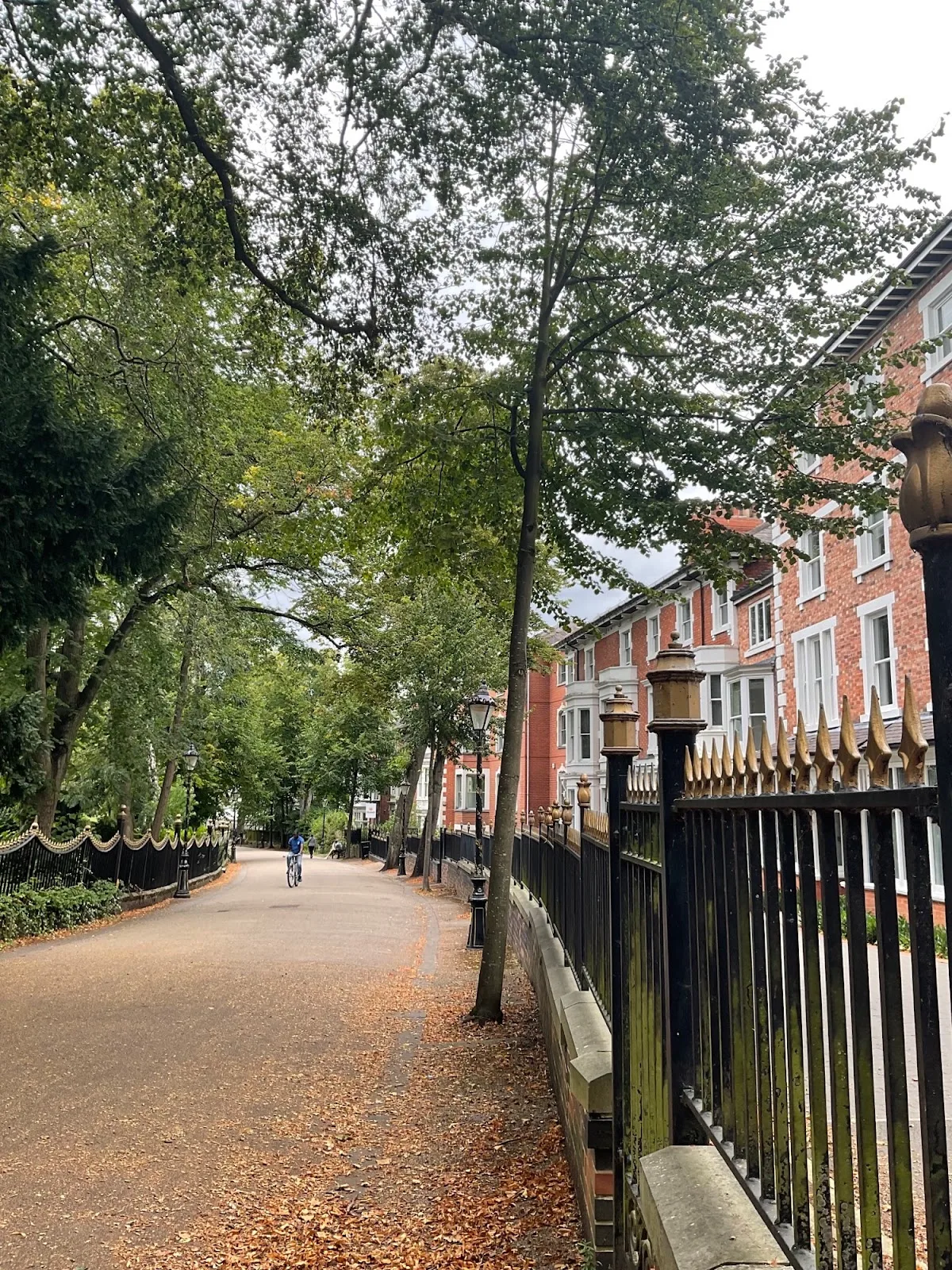 X&amp;Y Fertility — photo 1