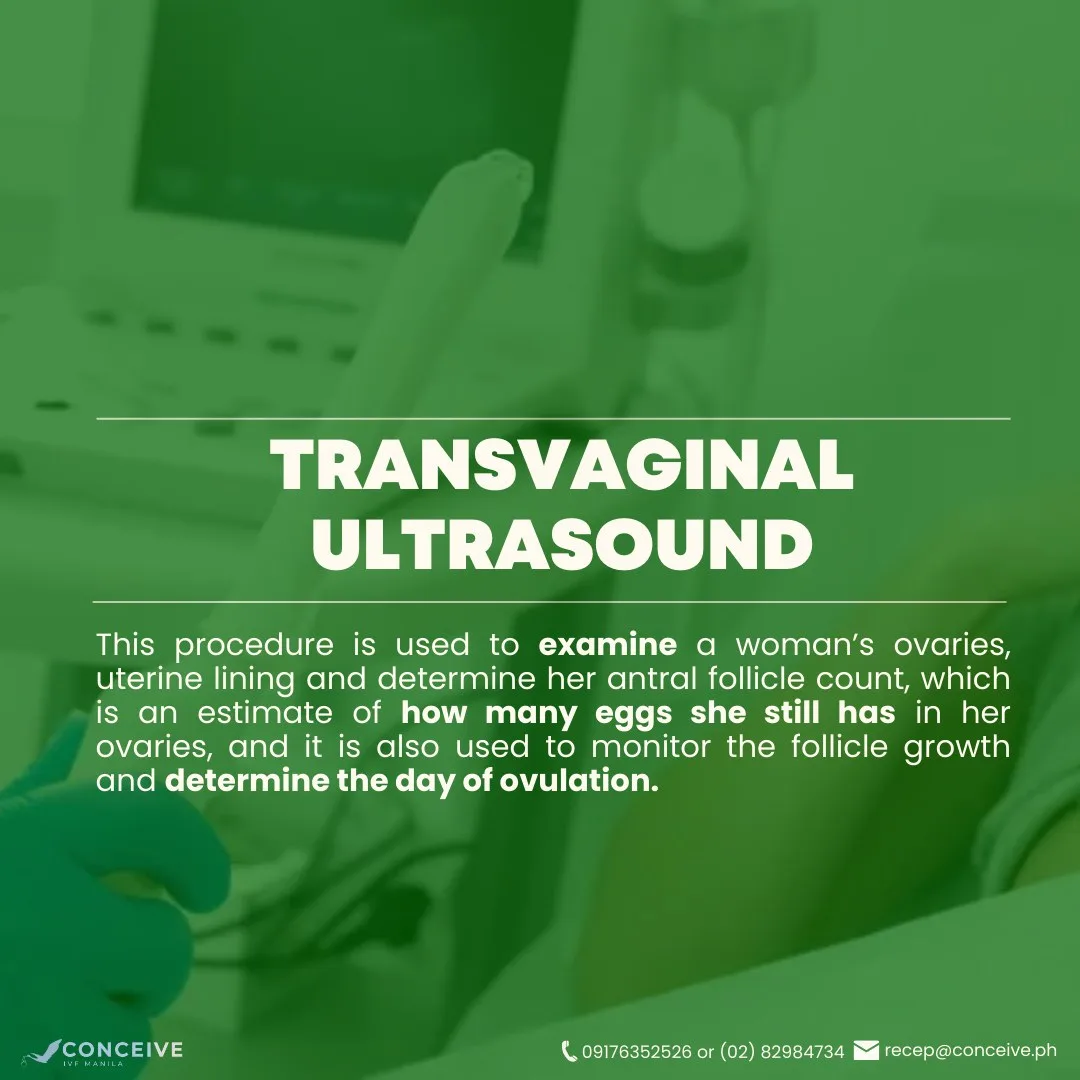 Conceive IVF Manila Inc. — photo 5