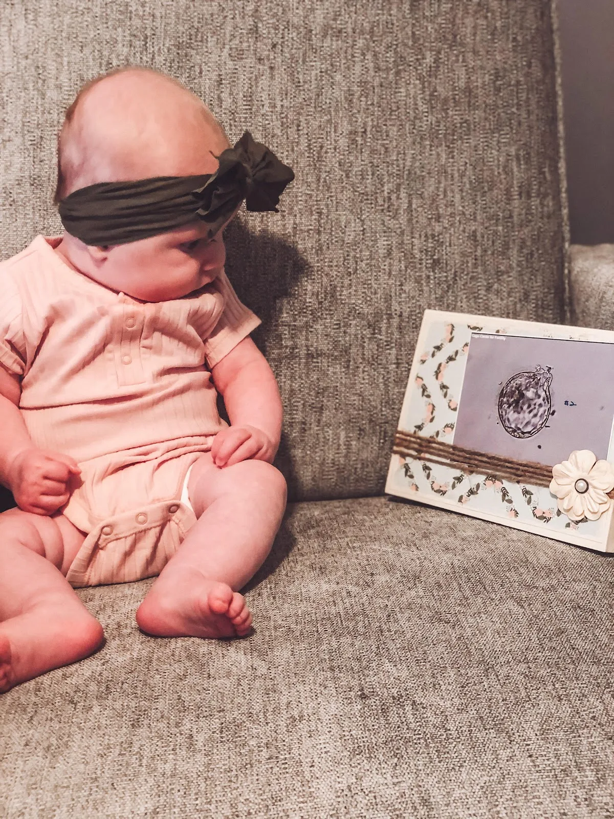 Embryo Connections — photo 4