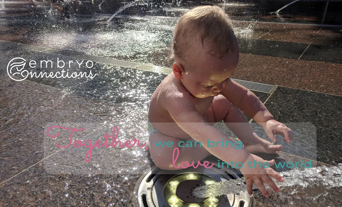 Embryo Connections — photo 1