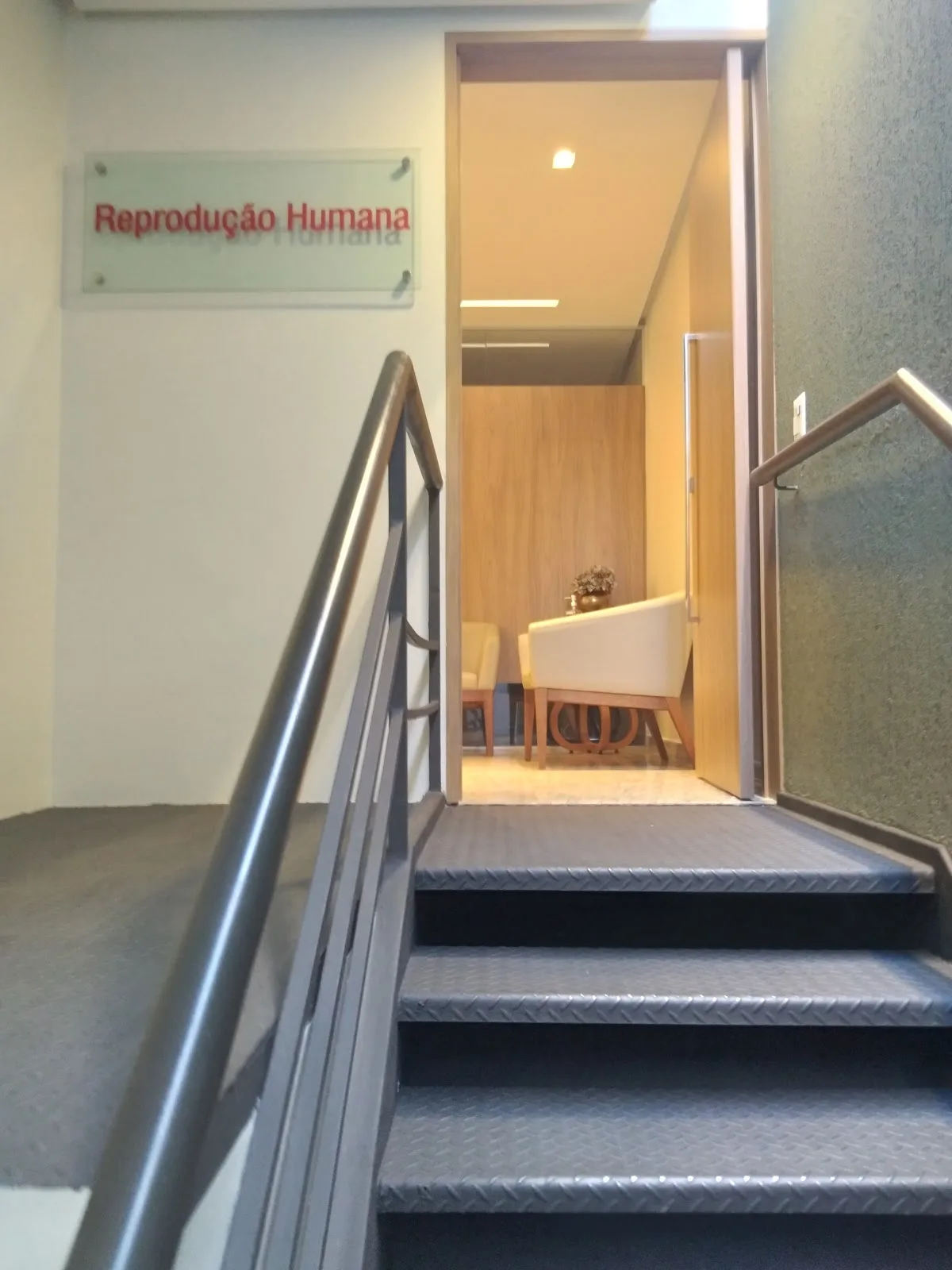 Fértile Reprodução Humana — photo 5