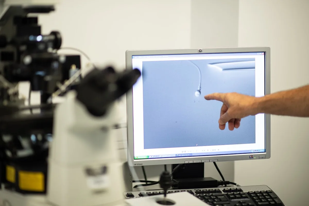 Institut Rhonalpin — photo 4