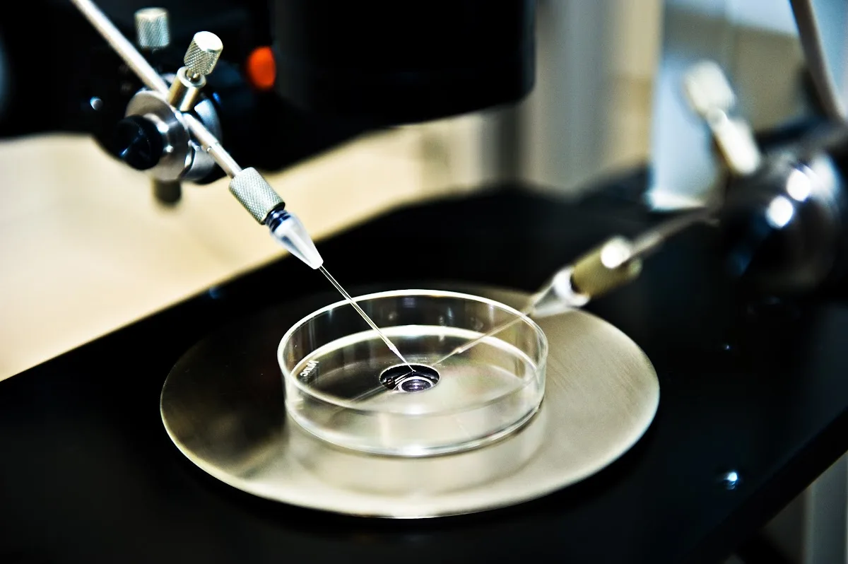 OVUM Specialized Medical Center — photo 5