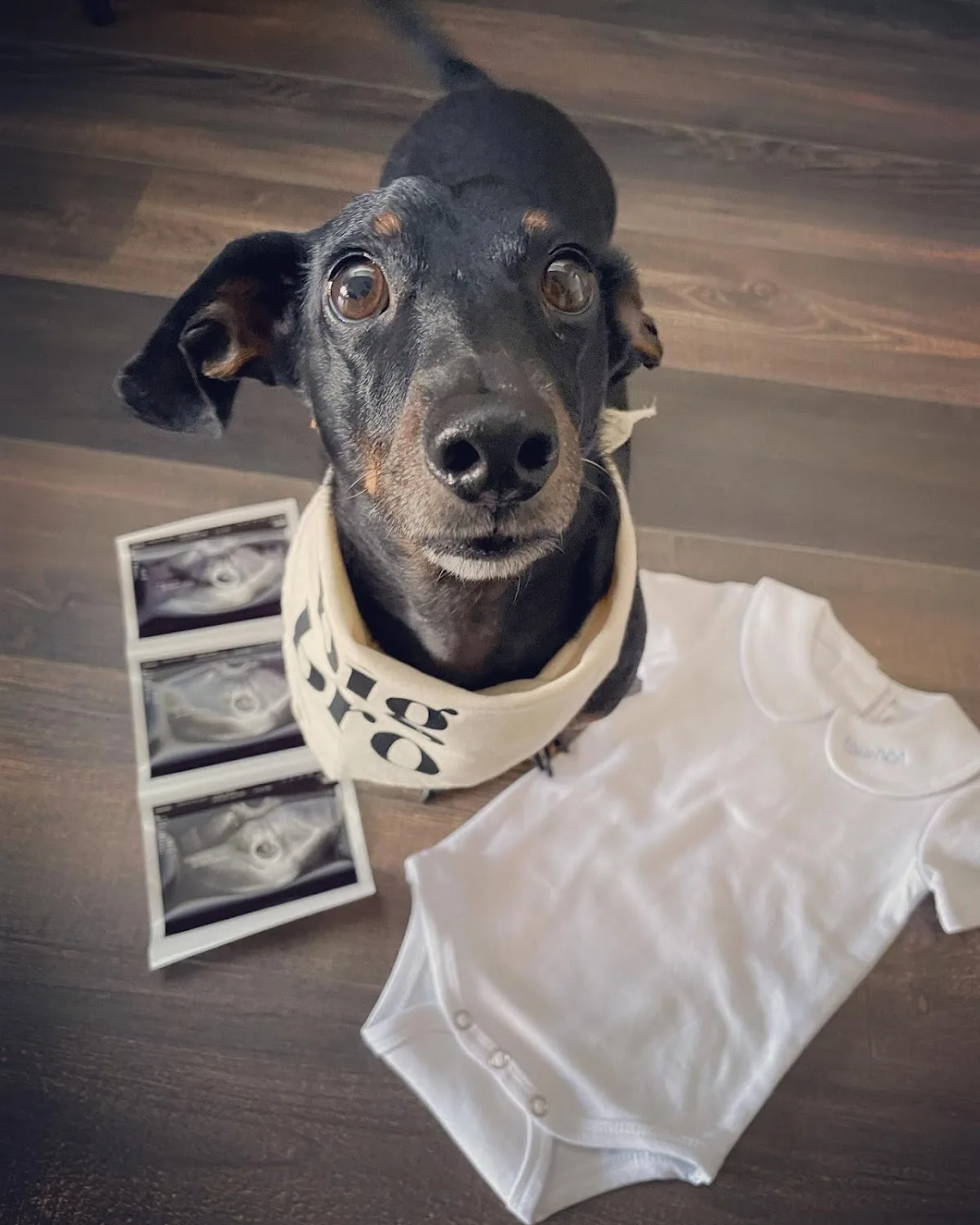 Positive Steps Fertility Clinic — photo 3