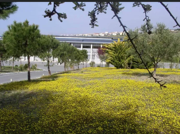 Κλινική Γονιμότητας | Fertility Clinic | Εξωσωματική Γονιμοποίηση και Δωρεά Ωαρίων